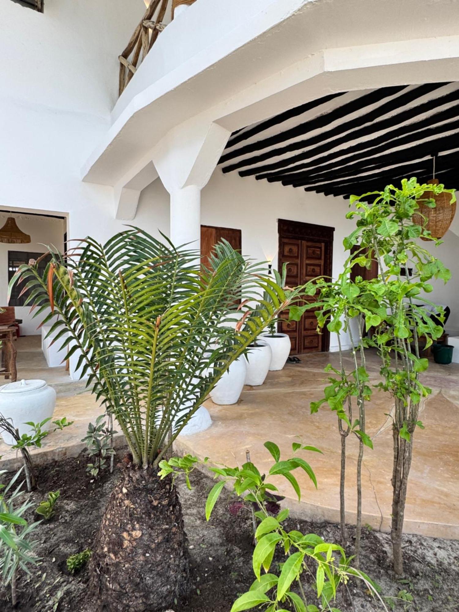 Mango Beach House Jambiani  Exterior foto